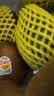 佳沛（zespri）新西兰 金奇异果特大果15粒134-146g猕猴桃水果礼盒 实拍图