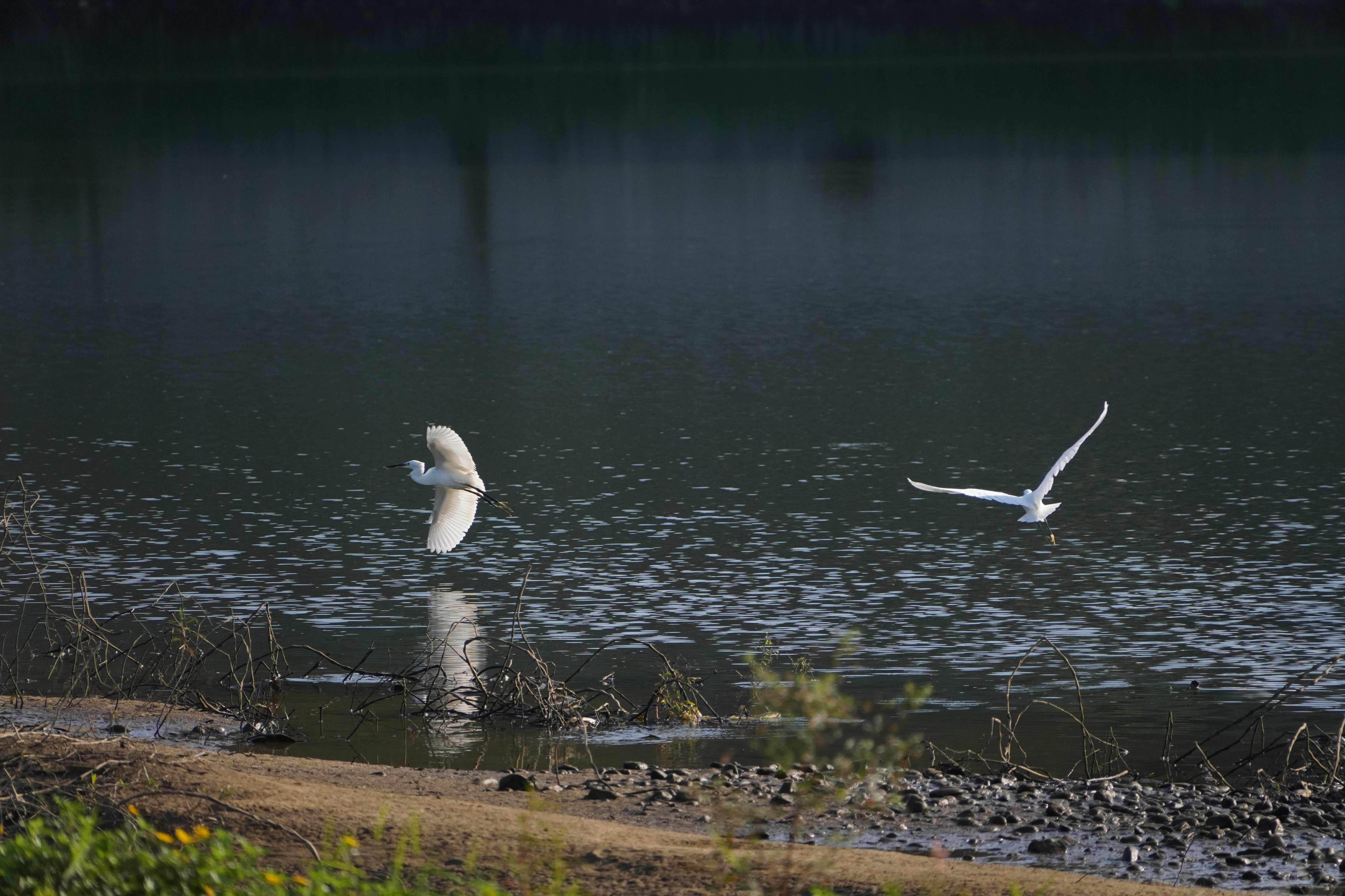 适马（SIGMA）16-300mm f3.5-6.7 DC OS ｜Contemporary 半画幅 远摄变焦镜头 旅游风光人像（索尼E卡口） 实拍图