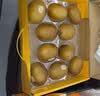 佳沛（zespri）新西兰金奇异果10粒巨大果146-175g猕猴桃水果礼盒 实拍图