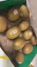 佳沛（zespri）新西兰金奇异果10粒巨大果146-175g猕猴桃水果礼盒 实拍图