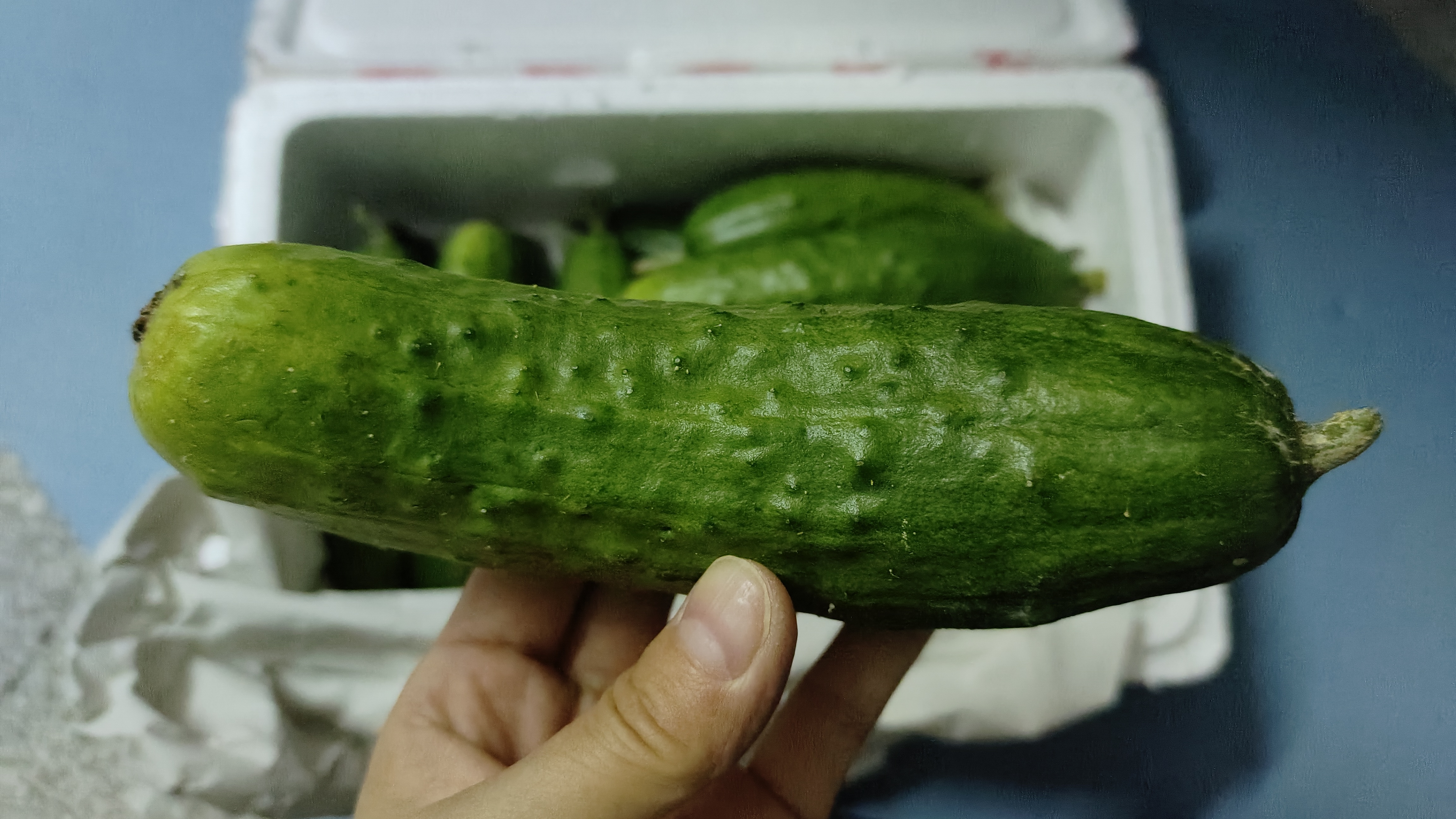 京鲜生 山东童年旱黄瓜 净重5斤 单果100g+ 水果小青瓜 轻食 源头直发 实拍图
