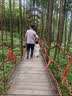 格术吊床户外双人防侧翻成人儿童露营秋千室内宿舍吊椅学生网床摇椅红 实拍图