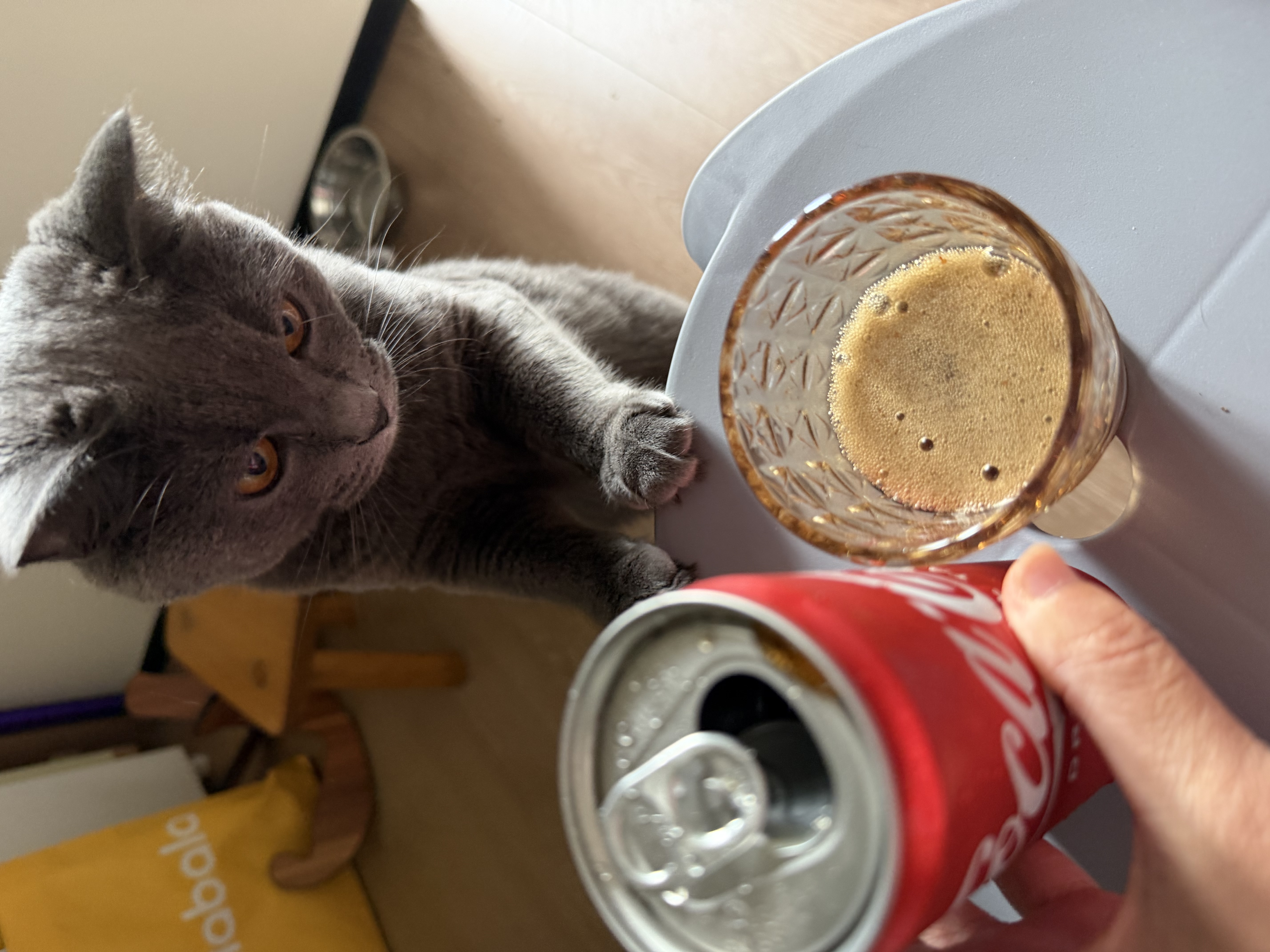 可口可乐（Coca-Cola）经典口味 汽水 碳酸饮料330ml*6罐 实拍图