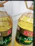 金龙鱼 食用油 非转基因 压榨 一级 纯正玉米油4L（新老包装随机发货） 实拍图