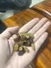 楼兰蜜语新疆缤纷葡萄干900g/箱15包分享量贩新疆吐鲁番节日送礼盒零食 实拍图