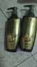 施华蔻（Schwarzkopf）生姜精华洗发露600ml  持久控油清爽蓬松洗发水 无硅油洗头膏 实拍图