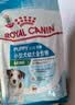 皇家狗粮幼犬成长礼盒（幼犬粮 800g+成犬粮 50g*5）小型犬 泰迪 贵宾 实拍图