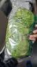 【烧烤季】钟灵山罗马生菜400g 实拍图