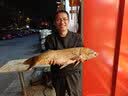 神鲨湖库王4.5米鱼竿超轻超硬碳素钓鱼竿手竿台钓竿鲤鱼杆鲫鱼竿渔具 实拍图