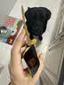 Meatyway爵宴宠物狗狗零食蜜汁兔脊骨 120g犬专用宠物训练奖励 实拍图