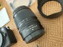 尼康（Nikon）Z50II 16-50mm f/2.8 VR【国家补贴】微单套机 小三元套机 数码相机 Z502/Z50二代 实拍图