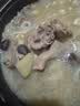 硒全食美无抗富硒汤鸽净重520g（2只）冷冻鸽子滋补煲汤烧烤生鲜鸽子 实拍图