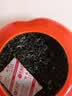艺福堂绿茶2026新茶江苏明前特级碧螺春京螺韵250g高山云雾口粮茶叶送礼 实拍图