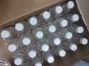娃哈哈纯净水饮用水596ml*24瓶纸箱装整箱瓶装水 包装随机 实拍图
