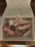 兰蔻大粉水400ml爽肤水保湿水柔肤水滋润护肤品化妆品礼盒生日礼物 实拍图