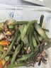 【霜打菜】紫菜苔300g 实拍图