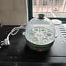 九阳（Joyoung）煮蛋器多功能智能蒸蛋器7个蛋量 ZD7-GE130（飞泉绿） 实拍图