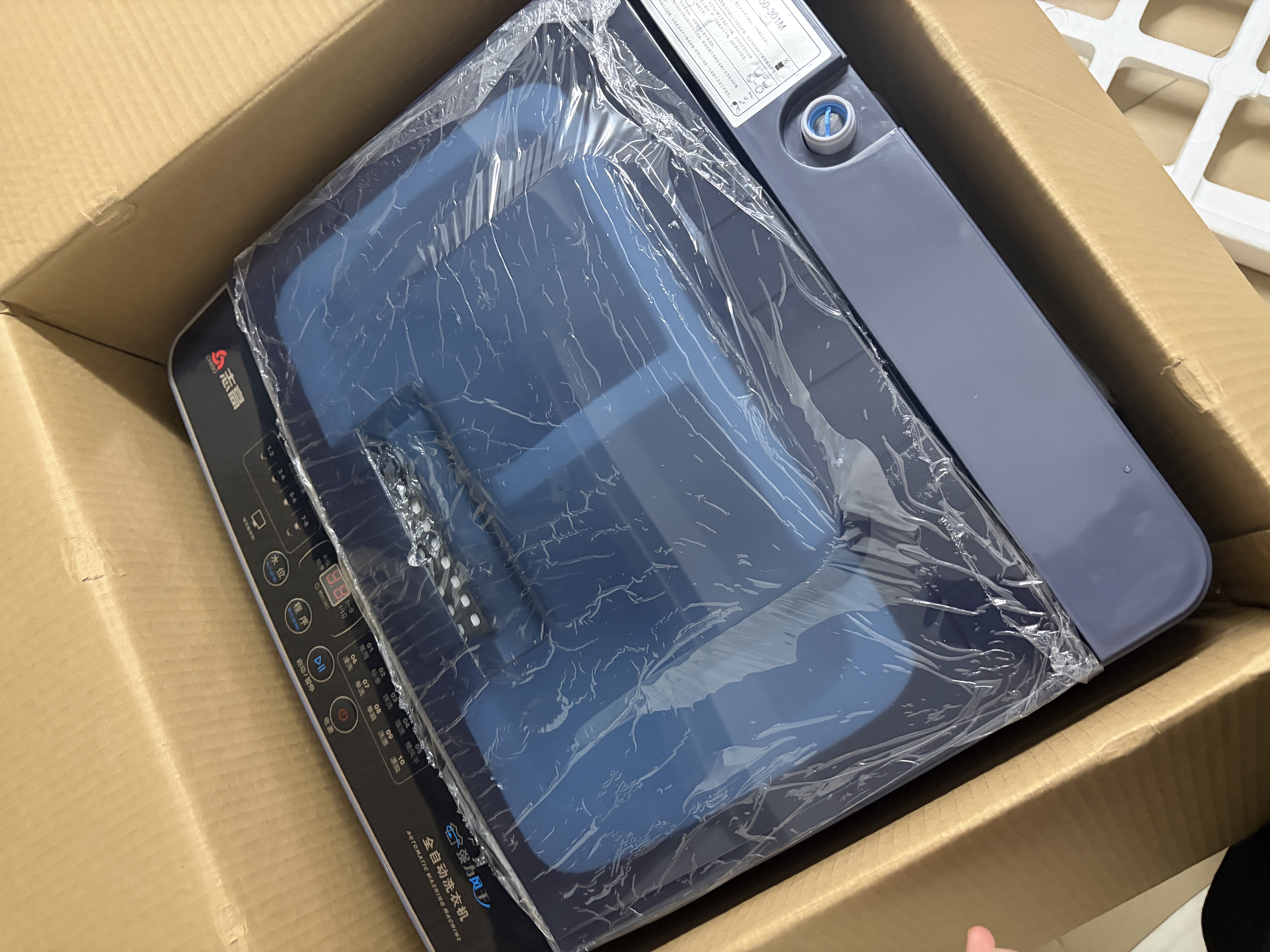 志高（CHIGO）全自动洗衣机 波轮宿舍迷你小型家用 【补贴15%】洗烘一体 智能洗脱一体机 大容量 风干 直排式 【10KG洗脱容量 强劲动力款】十大洗涤 蓝光洁净 波轮 实拍图