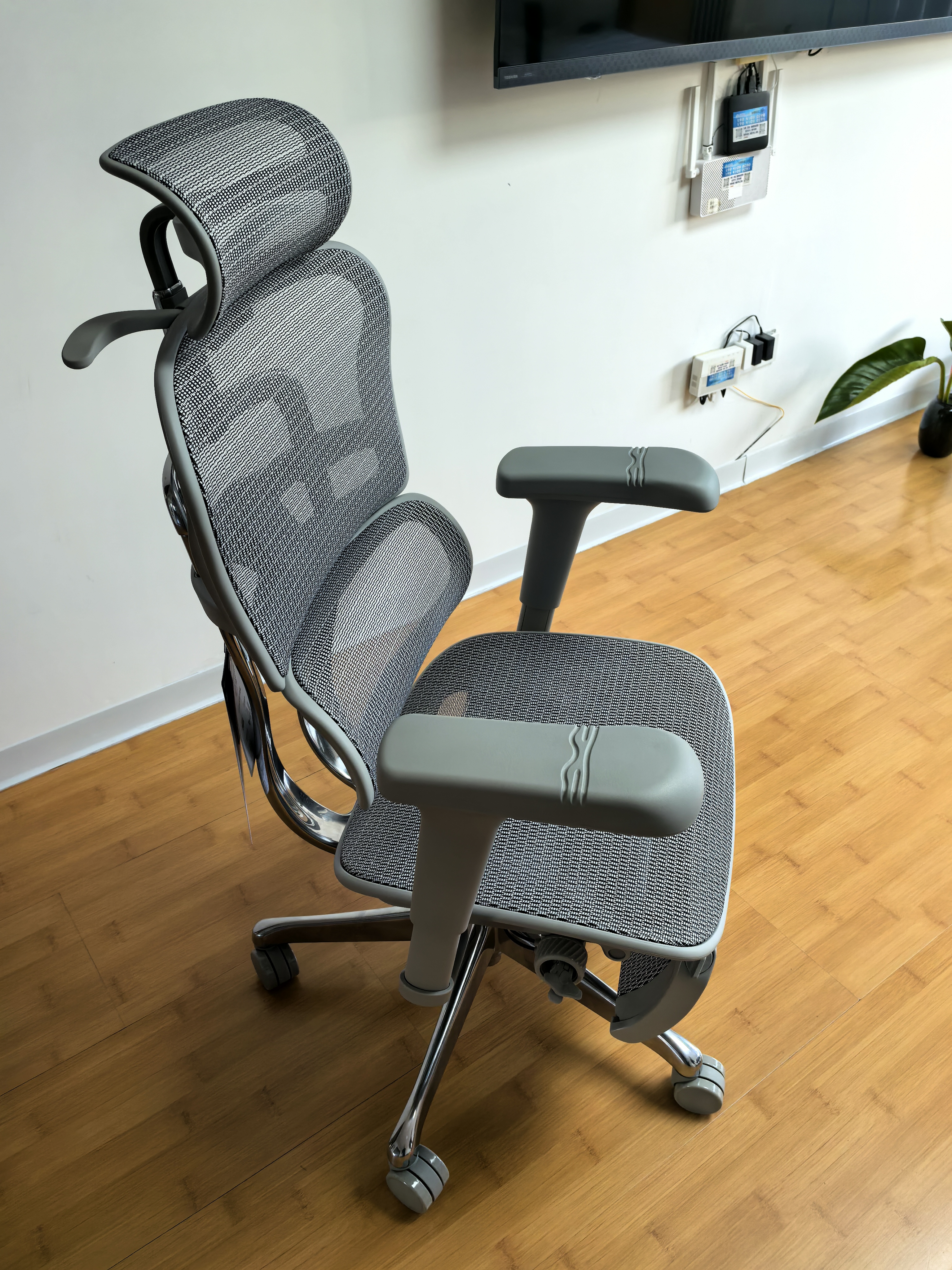 Ergonor保友金豪B雄鹰/悦动 人体工学椅 电脑椅电竞椅办公椅子可躺座椅 银白网+躺舒宝 实拍图