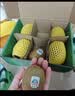佳沛（zespri）绿奇异果经典果16粒礼盒单果约89-103g 水果 猕猴桃 实拍图