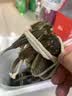 【活蟹】今锦上弘悦大闸蟹鲜活螃蟹礼盒全母2.8-3.1两8只精品礼盒礼品去绳足重 实拍图