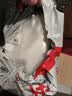 佳帮手真空袋食品抽真空袋塑封真空封口保鲜密封袋食品级加厚19丝家用包装袋15*20cm 实拍图