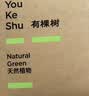有棵树男士内裤男抗菌纯棉底裆透气高弹大码裤头男生男式四角平角短裤衩 实拍图