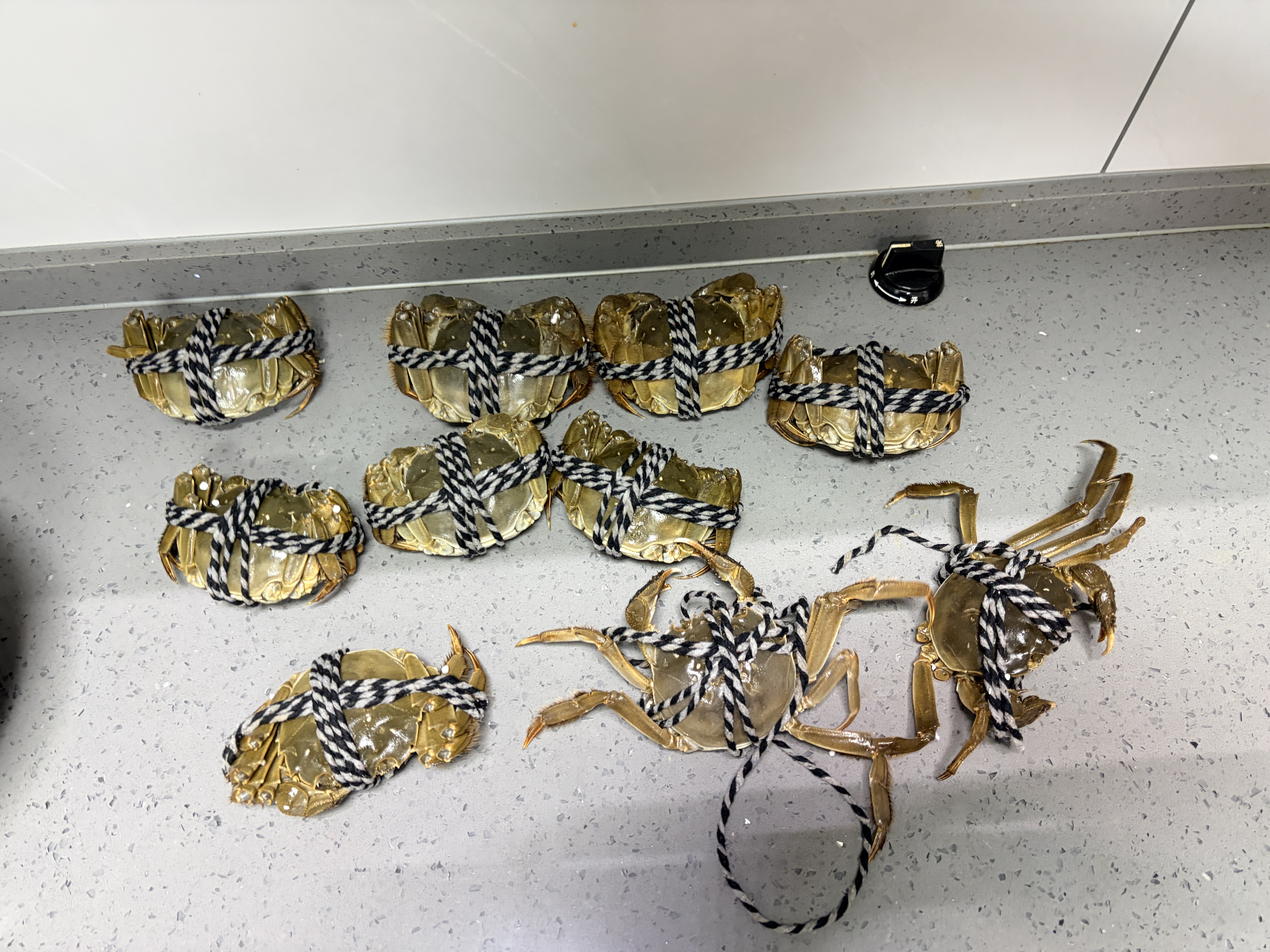 【活蟹】（残蟹）鲜活大闸蟹少腿蟹兴化大闸蟹断腿蟹泰州鲜活螃蟹 公4.4-4.7两 母3.4-3.7两 5对10只 实拍图