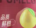 京鲜生 福建红心蜜柚/柚子 2粒 净重5-7斤 单果2.5-3.3斤 生鲜水果礼盒 实拍图