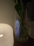 墨斗鱼 炫彩玻璃花瓶1823现代简约工艺品北欧田园家居摆件客厅餐厅电视柜装饰插花花器 实拍图