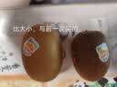 佳沛（zespri）新西兰金奇异果10粒巨大果146-175g猕猴桃水果礼盒 实拍图