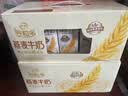 伊利谷粒多燕麦牛奶整箱 200ml*12盒 礼盒装 普通装混发 实拍图