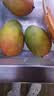 京鲜生云南凯特芒果 净重8斤450g+ 新鲜青皮芒果 源头直发 实拍图