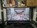 AMZFAST24.5英寸2K 320Hz FastIPS高刷显示器 HDMI2.1 10bit 护眼电竞电脑屏幕 迅龙G25F6B Pro 实拍图