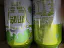 西域春新疆小青柠味风味奶啤300mlX12罐整箱聚会畅饮风味饮料夏季解渴 实拍图