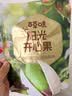 百草味开心果盐焗味100g 每日坚果干果休闲零食特产新老包装随机发 实拍图