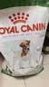 皇家狗粮 成犬狗粮 犬粮 宠物小型犬 PR27全价犬粮≥10月8KG 宠物金选 实拍图