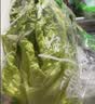 【烧烤季】钟灵山罗马生菜400g 实拍图