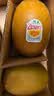 佳沛（zespri）新西兰金奇异果4粒103-114g猕猴桃源头直发水果礼盒 实拍图