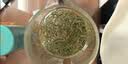 一杯香茶叶绿茶明前碧螺春1钻250g2026新茶礼盒装礼品送礼自己喝散装 实拍图