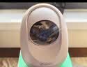 3604G摄像头9pro400万终身免费流量微光全彩双向通话360度老人婴儿宠物看护农村家用监控室内云台 实拍图