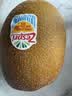 佳沛（zespri）新西兰  阳光金奇异果10粒巨大果单果146-175g 猕猴桃 实拍图