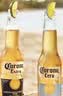 科罗娜（CORONA）特级啤酒330ml*24瓶整箱经典拉格京东自营 实拍图