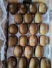 佳沛（zespri）新西兰金奇异果22粒巨大原箱146-175g猕猴桃水果礼盒 实拍图