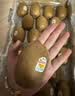 佳沛（zespri）新西兰金奇异果22粒巨大原箱146-175g猕猴桃水果礼盒 实拍图