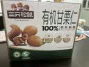 三只松鼠有机甘栗仁500g 熟制即食板栗仁栗子仁坚果休闲零食团购送礼 实拍图