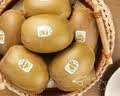 佳沛（zespri）新西兰金奇异果12粒特大果124-146g猕猴桃水果礼盒 实拍图