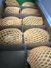 佳沛（zespri）新西兰金奇异果10粒巨大果146-175g猕猴桃水果礼盒 实拍图