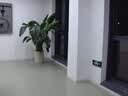 欧达【顶配光变】数码相机6400万高清12倍光学变焦入门级ccd学生校园Vlog微单镜头伸缩4K摄像照相机 实拍图