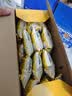 盼盼可可香草味派1000g 面包蛋糕夹心蛋黄派休闲零食饼干营养早餐 实拍图